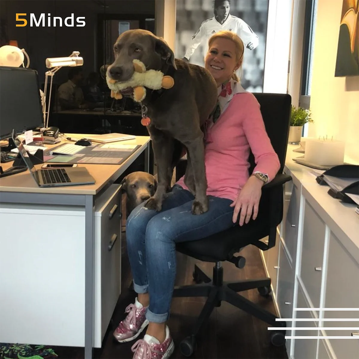 Office Dogs bei 5Minds